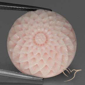29.15 克拉粉红色珊瑚宝石| 雕刻| 25 x 16.7 mm | GemSelect